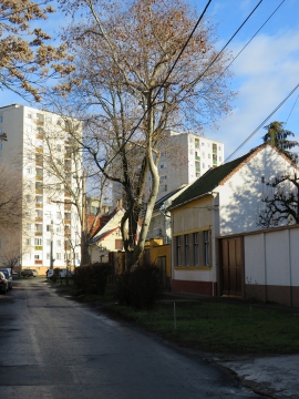 Kar u. 26.
