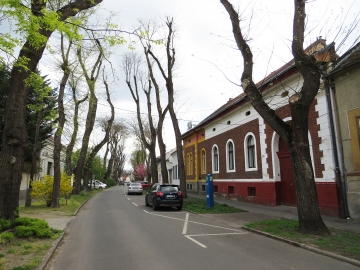 Ajtó u. 23.